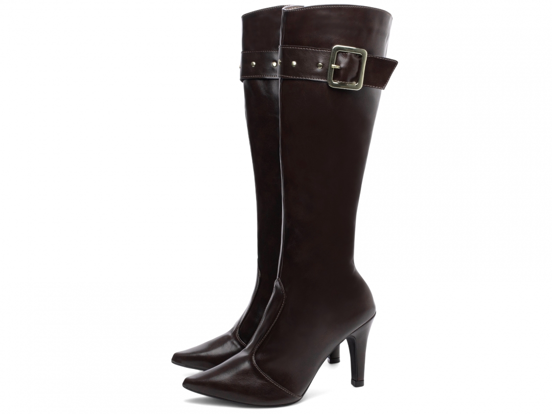 Bota Bico Fino Feminina